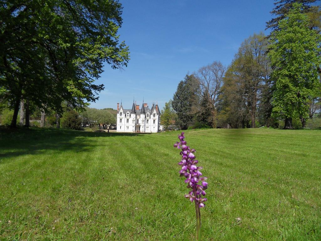 Chateau De La Motte Noailly Kültér fotó